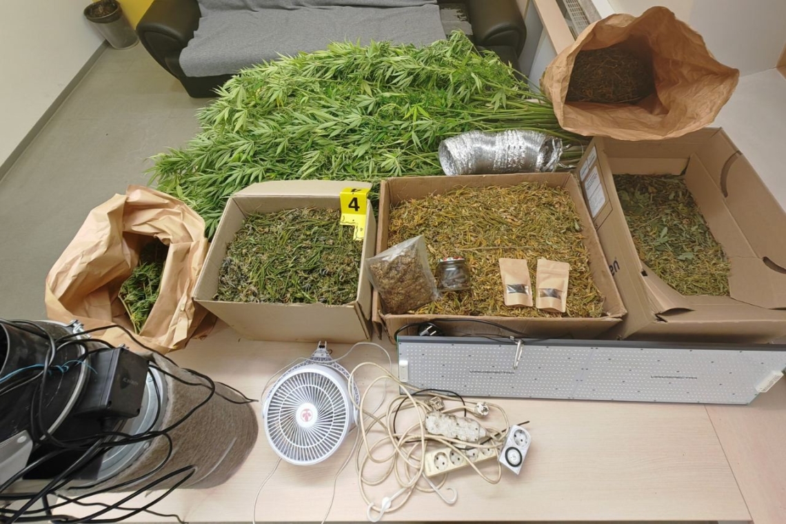 Policisti v Cerknici zasegli prirejen prostor in pet kilogramov konoplje